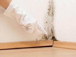 Best Emergency Mold Remediation  in Chesapeake Ranch Estates, MD